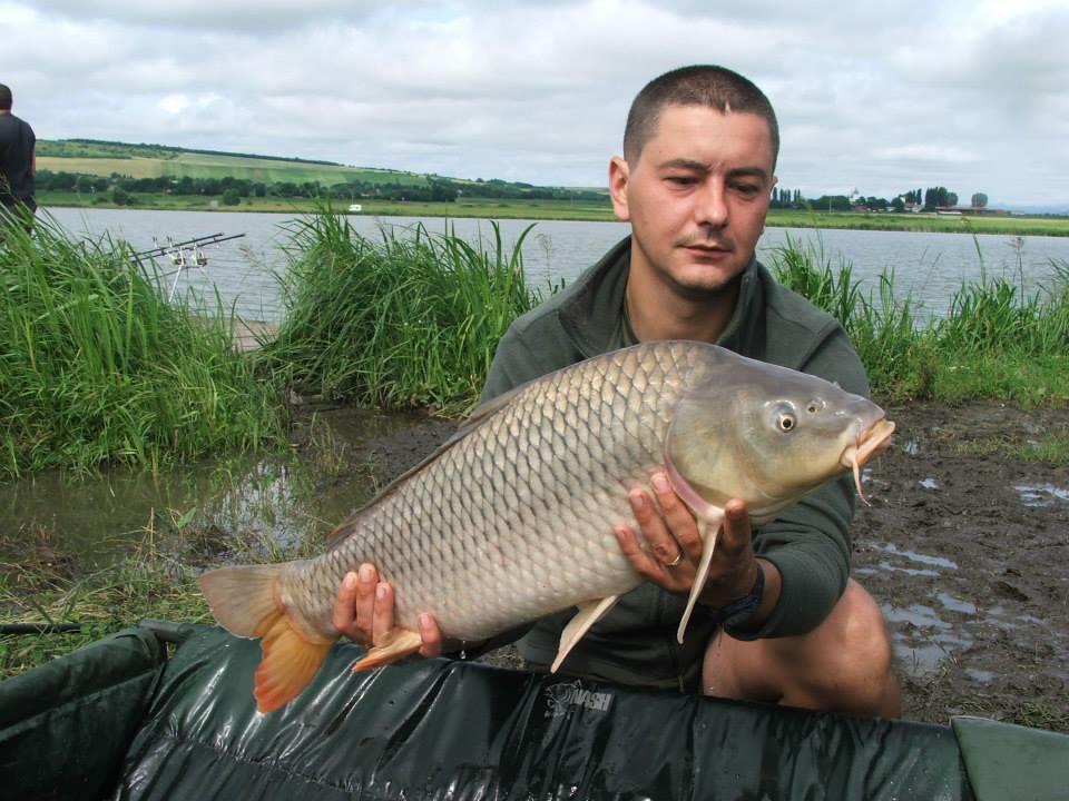 Lates iunie 2013 - 993899593196840747521434316314n.jpg